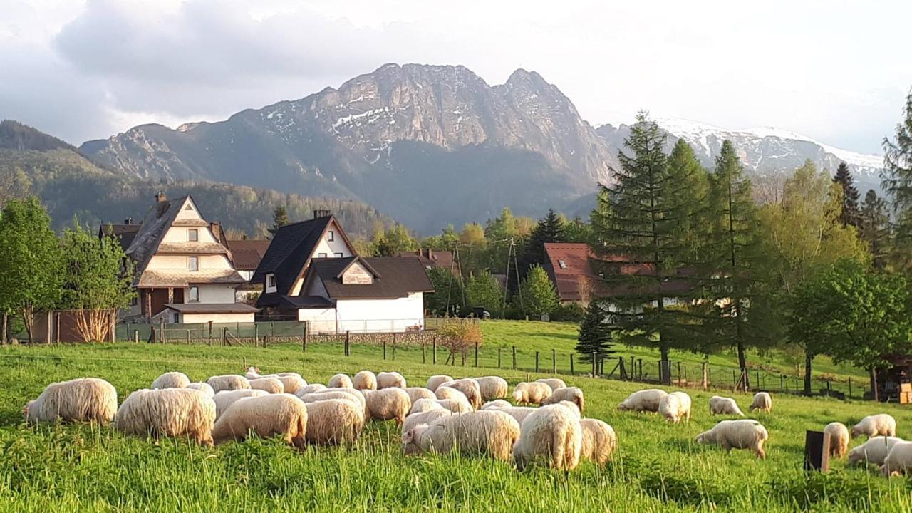 Zolta Turnicka *